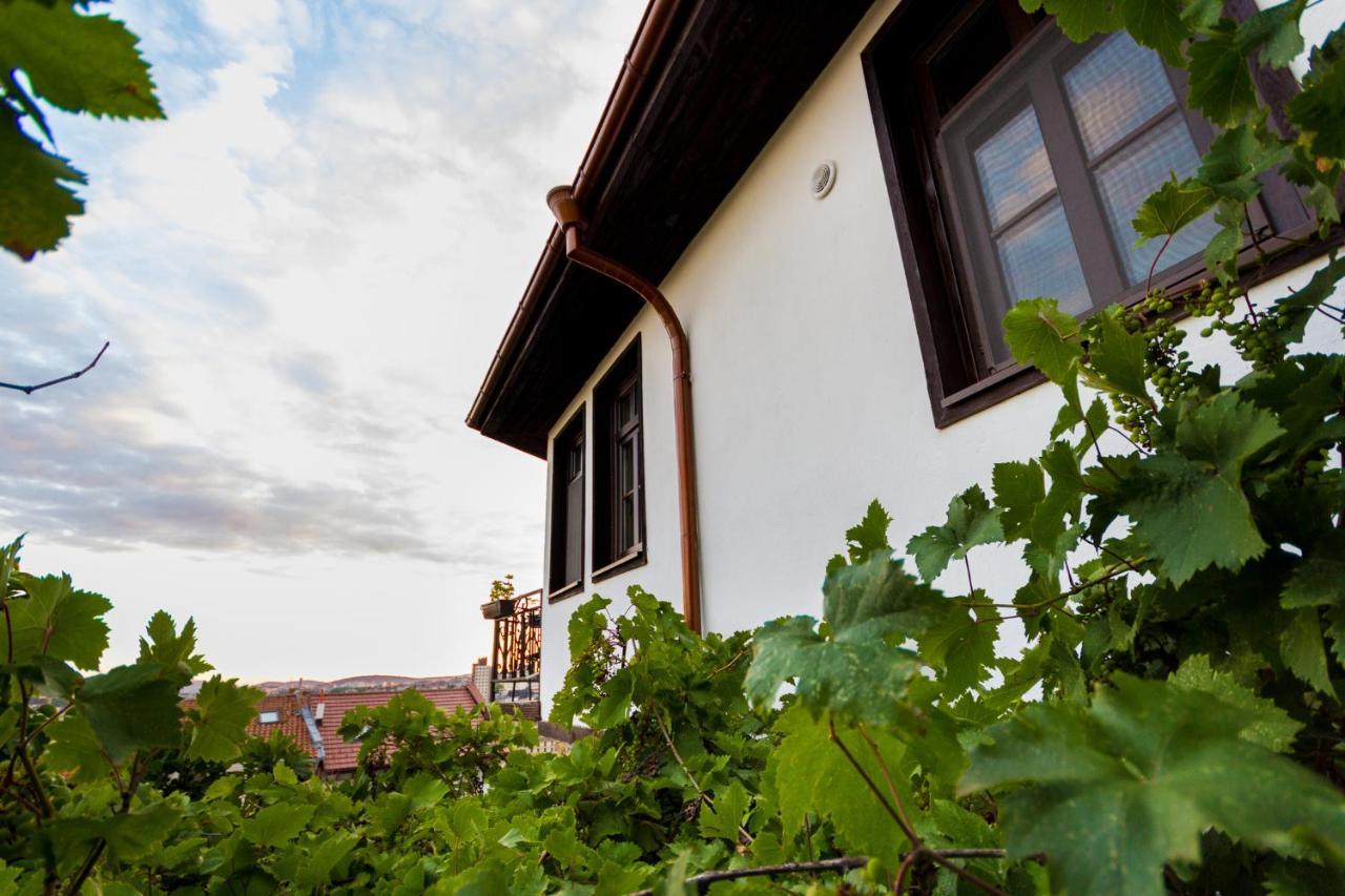 Apartment Zdravets, In The Heart Of The Old City เวลีคอเทอร์โนโว ภายนอก รูปภาพ